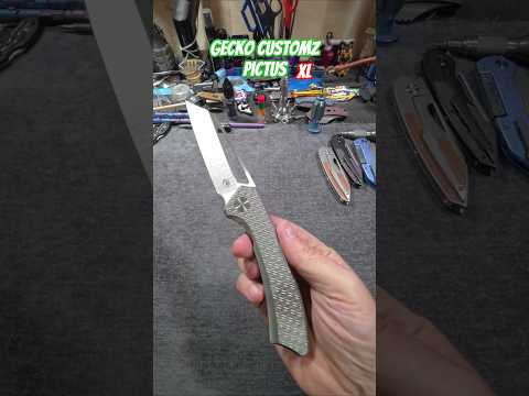 PERFECTION GECKO CUSTOMZ PICTUS