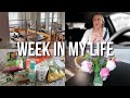 Week in My Life: First Pilates Class, Hailey Bieber Smoothie, Healthy Grocery Haul, &amp; Client Buy