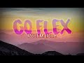 Post Malone Go Flex Lyric Video mp3