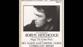 Watch Robyn Hitchcock Happy The Golden Prince video