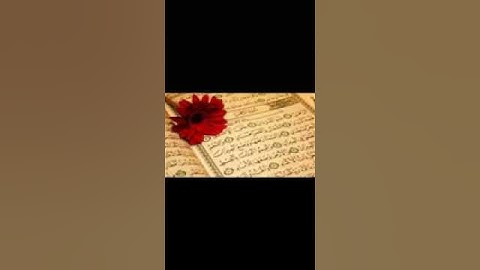 سورة الرحمن بصوت جميل وروعه لشيخ أحمد العجمي