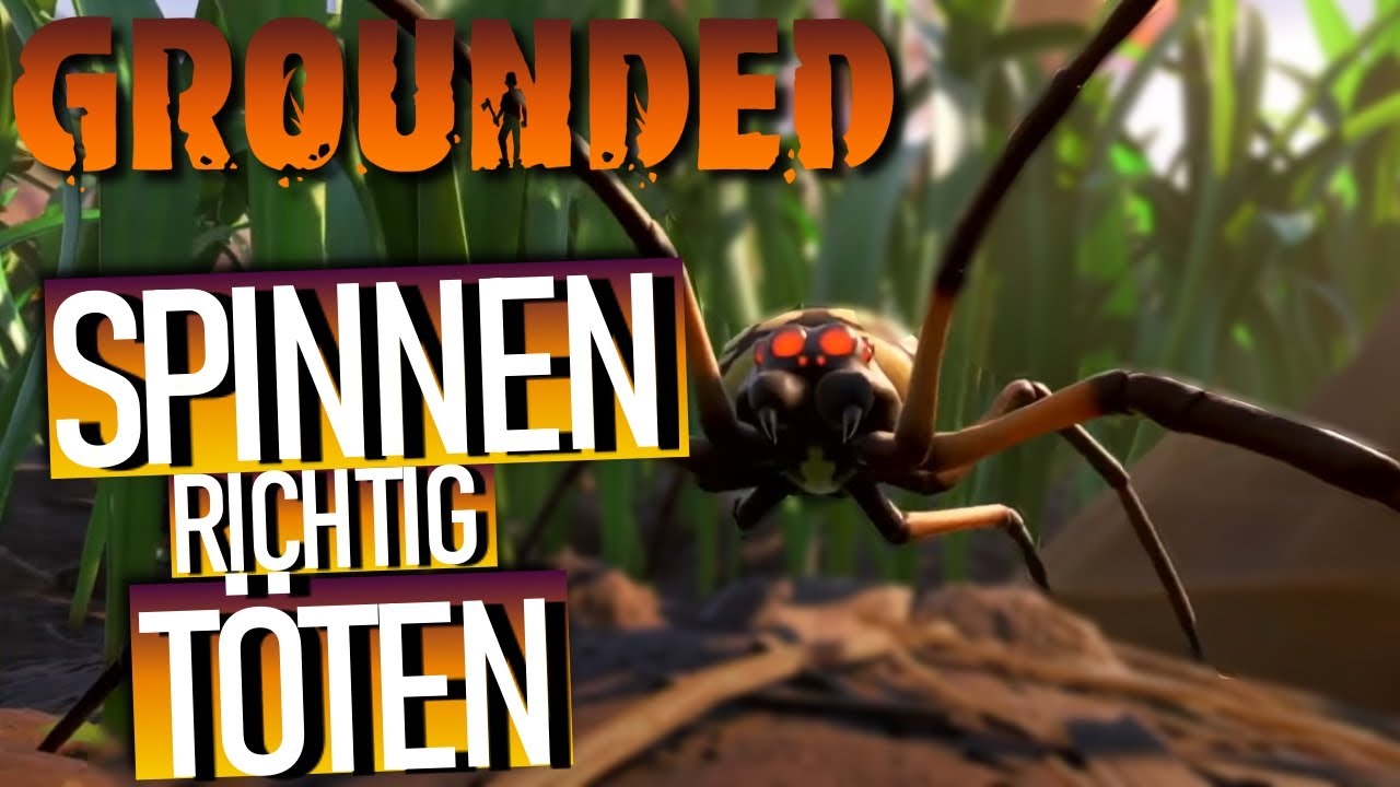 GROUNDED | GROUNDED SPINNEN TÖTEN | SPINNEN EINFACH TÖTEN | STARKE VERTEIDIGUNG UND ANGRIFF |