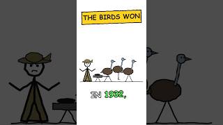 When birds went to war and won #emuwar #shorts