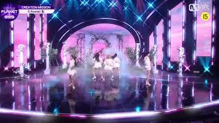 utopia but it’s only kim bora’s lines