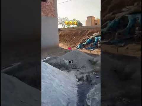 هههههههههه رياكشن خذها وانا مبارك