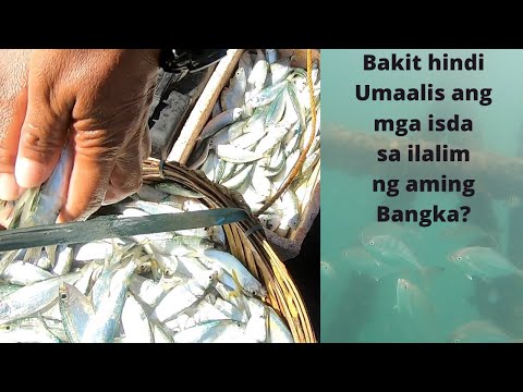 Video: Paano Mahuli Ang Isda Sa Tagsibol: Ang Lihim Ng Mangingisda Sa