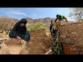 Continuing of building the Farm Cottage and making a cute Nest for Chickens (Iran 2023)