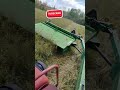 mowing some late cut horse hay down 🤙#grasscutting #johndeere #international #farming