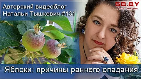 Яблоки: причины раннего опадания