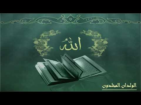 الشيخ عبدالمنعم الطوخى ما تيسر من سورة النمل