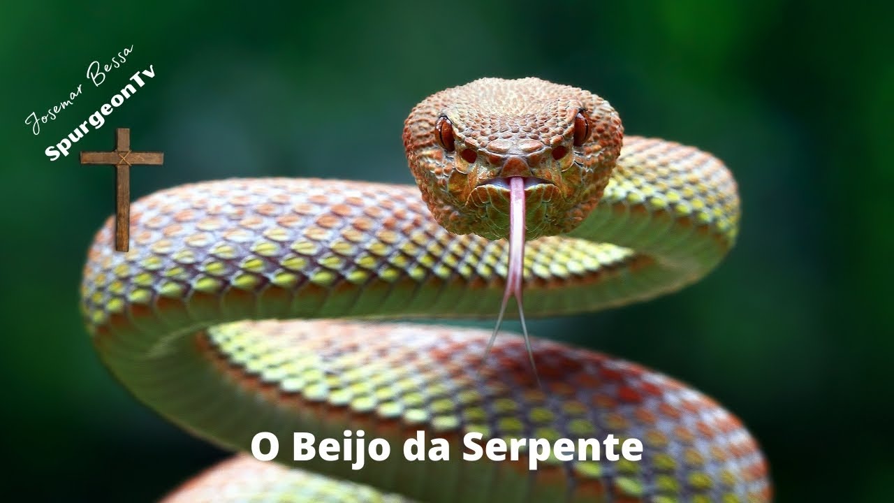 O Beijo da Serpente | Josemar Bessa