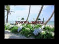 K'nova- Roses