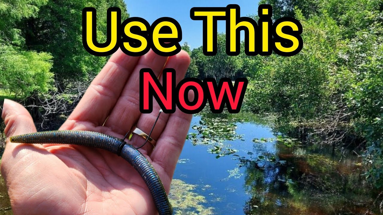 This WORM is DOMINATING Bass Fishing (NEKO RIG)