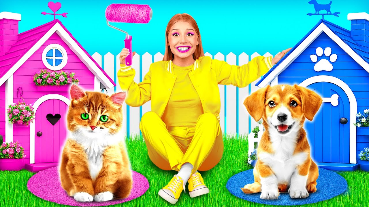 We Built a House For Pets | Funny Situations - YouTube