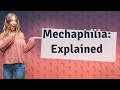 What is a Mechaphile?