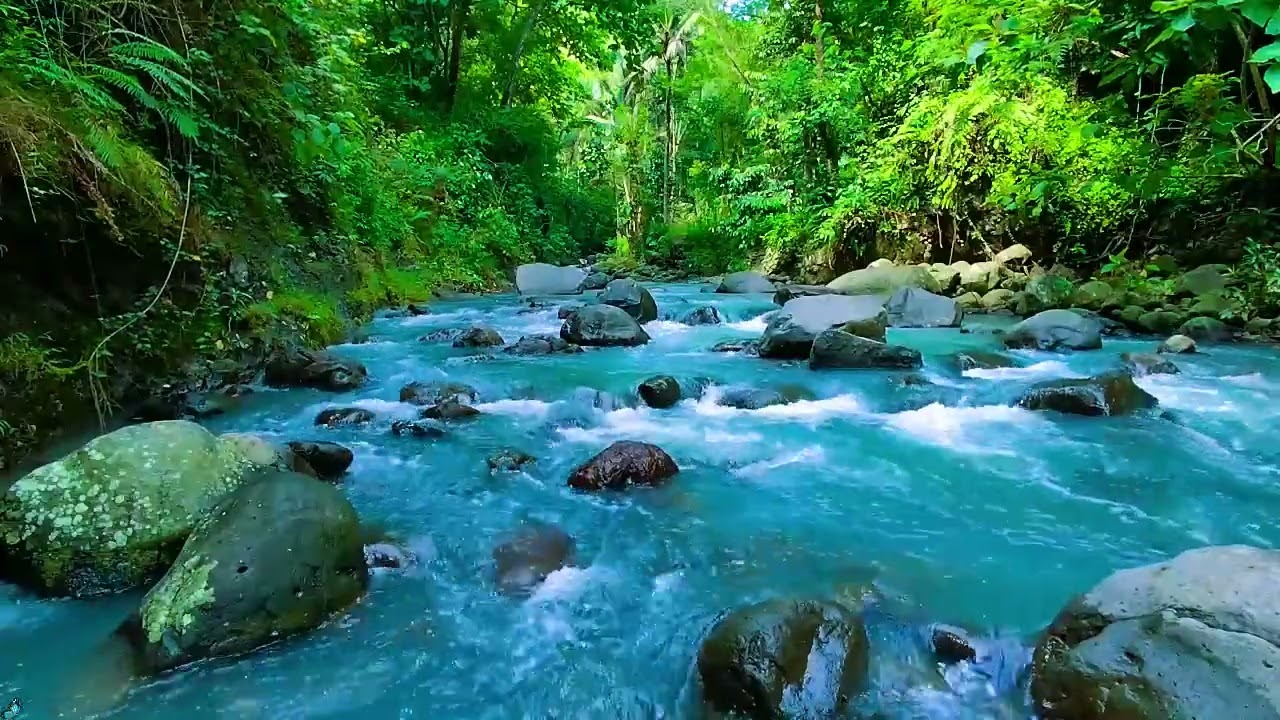 Peaceful Morning River Sounds 🌲💧 Calm Water Sounds for Relax