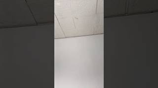 Temu Zero dollar 🎁  🎨🎀 #temuzerodollarshopping #temufreegifts #shortsvideo