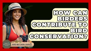 How Can Birders Contribute To Bird Conservation? - Bird Watching Diaries