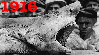 America&#39;s First Shark Attacks: Jersey Shore 1916