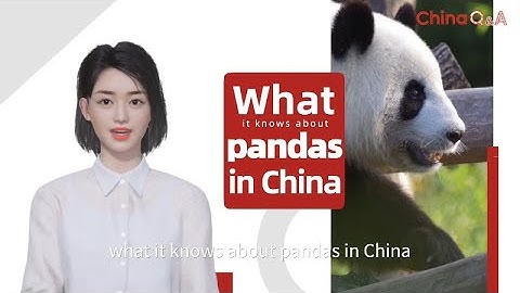 Asking ChatGPT: Why are giant pandas only in China?