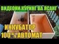 100% Автомат ИНКУБАТОР ЯСАШ УЙ ШАРОИТИДА | YUZ FOIZ AVTOMAT INKUBATOR YASASH SIRLARI