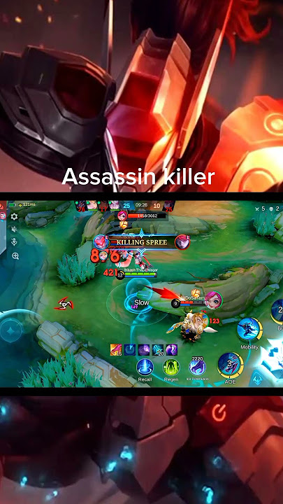 The reason why every assassin hero sacred by saber ☠️👻