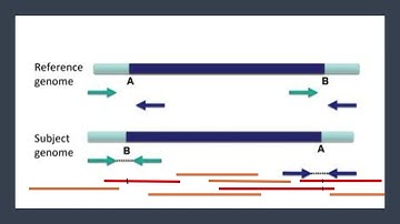 IGV Tutorial Part 5: Structural Variants