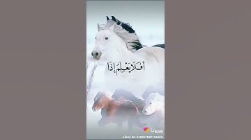 سورة العاديات بصوت جميل