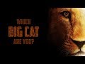 Which BIG CAT Are You?