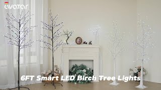 Smart Lighted Birch Tree/Cherry Tree