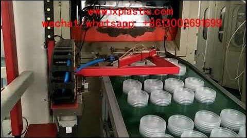 8 UP pp lid robot stacker for cup thermoforming machine