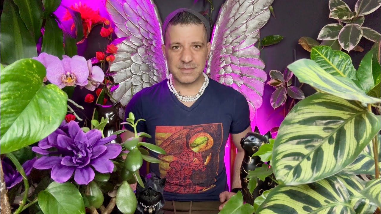 PISCES - Life-Changing Opportunity!! | NEW CHAPTER!! | 28 April - 4 May Pisces Tarot