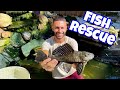 SAVING ALIEN FISH from ABANDONED House! Released In *AVAIRY* Pond!