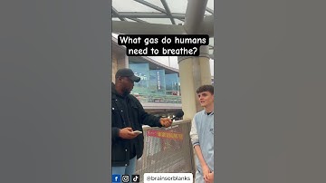 Can Gen Z answer basic questions? Street interview edition