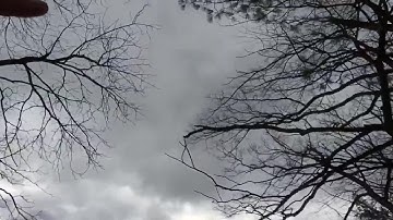 Reporter Update: Crews Continue Cleaning Downed Trees In Andover