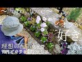 【ガーデニングvlog】冬の庭作り②/春まで楽しめる植物で花壇作り♪78円ビオラを主役にするための理想的な配置とは⁉