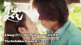 A Rong (阿冗) – Not My Business (與我無關) | The Forbidden Flower《夏花》OST Lyrics Indo
