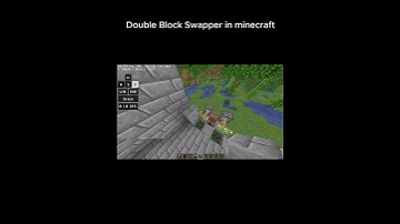 Double Block Swapper in Minecraft..........
