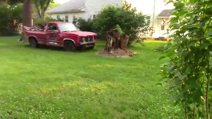 stump removal gone wrong
