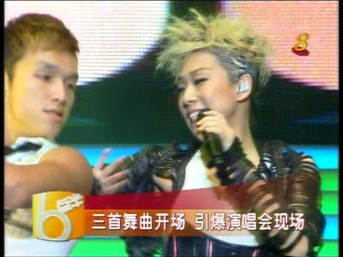 林憶蓮新加坡演唱會2008