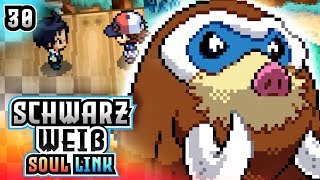 Wir haben ein Problem..! - Pokémon Schwarz & Weiß Soul Link - @Raizor - [30]