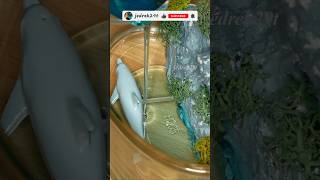DIY. Dolphin Waterfall Diorama