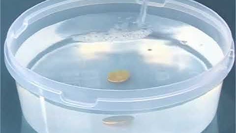 Class 10 Physics - Coin Magic