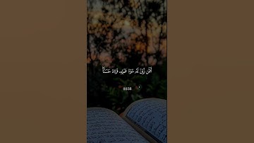 فَلَا تَغُرَّنَّكُمُ الْحَيَاةُ الدُّنْيَا ۖ ﴾#سورة_فاطر #ماهر_المعيقلي#اكسبلور #قران_كريم#ارح_قلبك