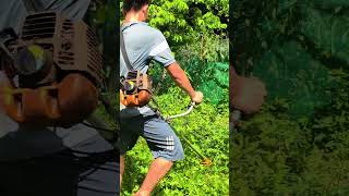 Overgrown Garden Cleanup in Rural Vietnam 🌿 #shorts