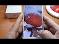 Xiaomi Redmi 4A  - Global version. Основные фишки телефона, полный видео обзор телефона.