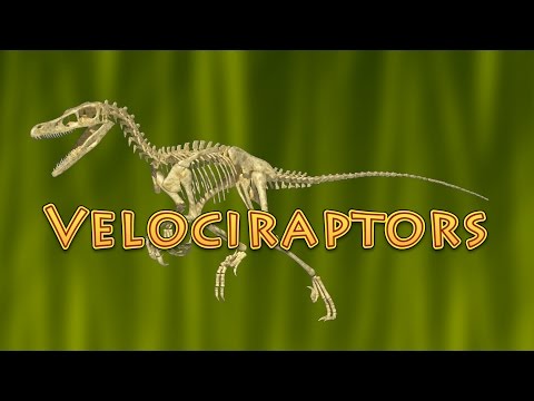 10 Facts About Velociraptor (Dinosaurs for Kids) - raptor