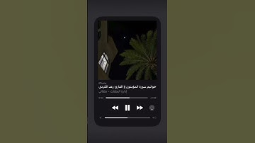 سورة المؤمنون بصوت القارئ رعد الكردي