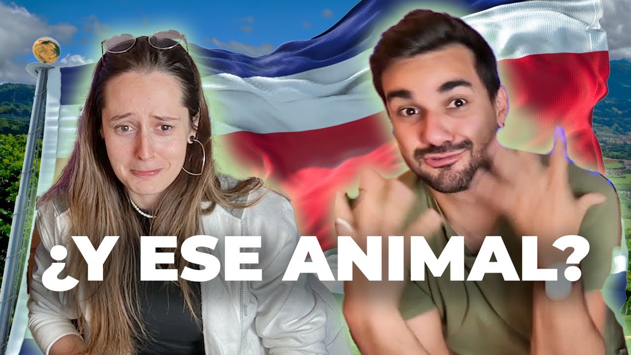 Argentinos reaccionan a COSTA RICA y sus PAISAJES - 5% de la biodiversidad del MUNDO en tiquicia 🇨🇷