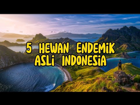 Video: Mengapa endemik itu penting?